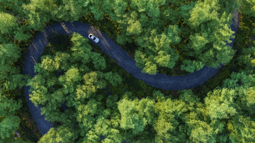 Morning walk in the forest, aerial view of a car on a deep jungle road, highlighting the importance of sustainable practices like windshield repair in New Orleans.