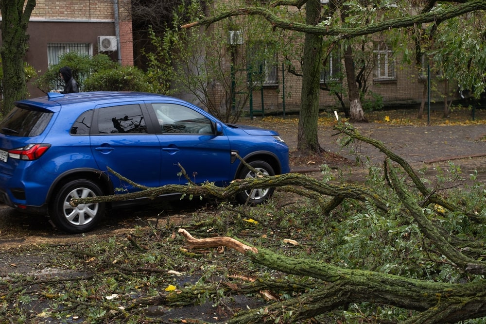 How to Protect Your Vehicle During Hurricane Season in Louisiana - apex auto glass - auto glass repair new orleans